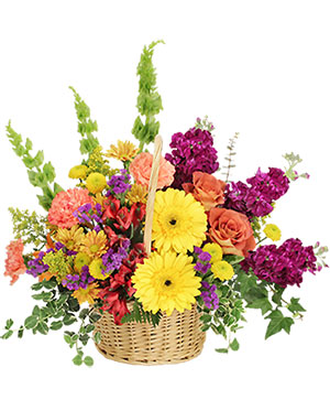 Blissful Butterfly Basket Arrangement in Fulshear, TX - Beezie's Flowers