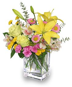 FLORAL FRESHNESS