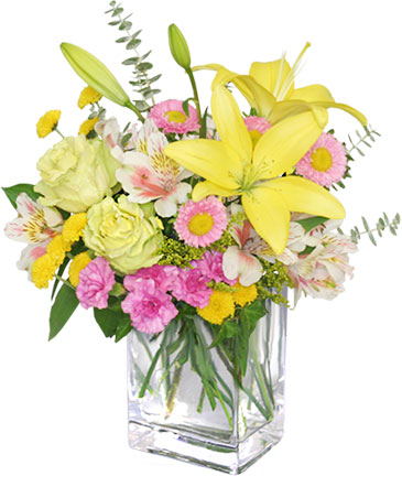 Floral Freshness Spring Flowers in Shawnee, OK | Shawnee Floral & Gifts