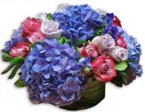Floral Jewel tones Cut Flowers