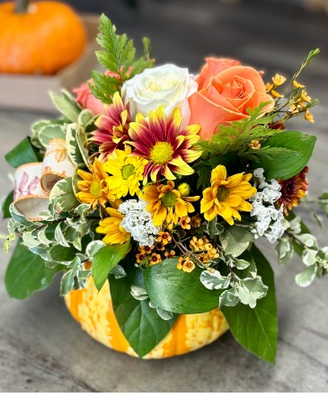 Floral pumpkin  fresh sugar pumpkin with fresh flower arrangement in Marshfield, MA | Fern's Flower Studio