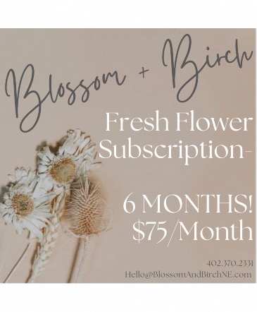 Floral Subscription- $75/Mo 6 Months in Norfolk, NE | Blossom + Birch Floral Subscription- $75/Mo 6 Months in Norfolk, NE | Blossom + Birch