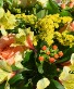 Quarterly Subscription Fresh arrangement