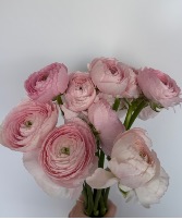 Floral Subscription  Weekly, Bi-weekly, or Monthly 