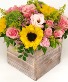 Floral Workshop 9/13  Apache Junction mesa  