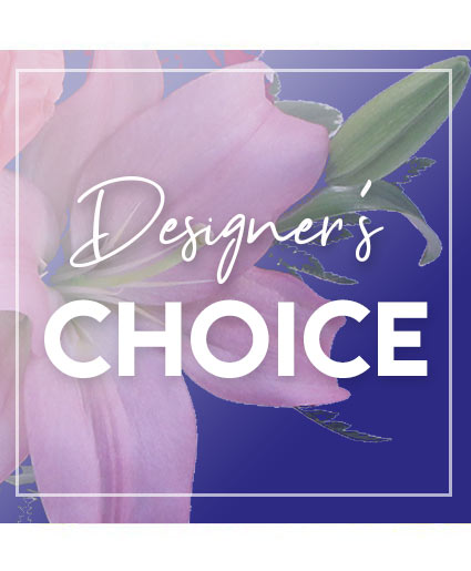 Send Beauty Designer's Choice