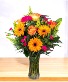 Mango Daiquiri Vase Arrangement