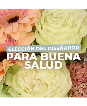 Flores Para Buen Salud Elección Del Diseñador in Ventura, CA | Mom And Pop Flower Shop