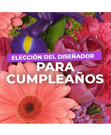Flores Para Cumpleaños Elección Del Diseñador in Shreveport, LA | LaBloom Florist