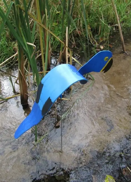 Florida Dancing Birds Blue Macaw