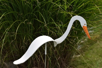 Florida Dancing Birds Egret