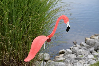 Florida Dancing Birds Coral Flamingo