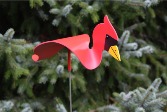 Florida Dancing Birds Red Cardinal