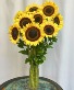 Florida Grown Sunflowers Floral Arrangement