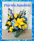 Florida Sunshine Spring Special