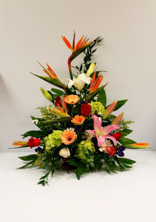 Tropical paradise Tropical Arranged