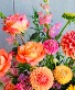 Florist choice-Sundance hues Design by color palette 
