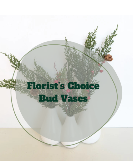 Florist Choice Bud Vases (2) 