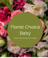 Florist Choice for New Baby 