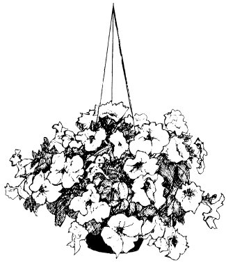 hanging flower basket clip art