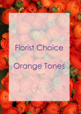 Florist Choice Orange 
