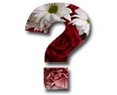 Exclusive Design by From The Heart Florist