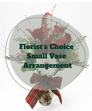 Florists Choice Christmas Vase (small) 