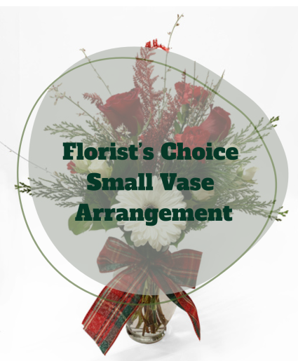 Florists Choice Christmas Vase (small) 