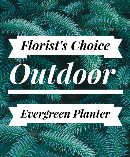 Florist's Choice Evergreen Planter