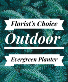 Florist's Choice Evergreen Planter