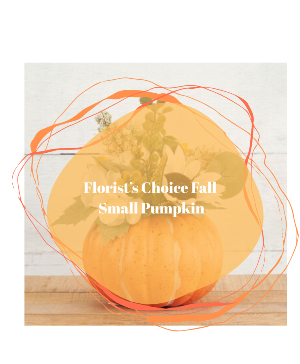 Florist's Choice SML Pumpkin 