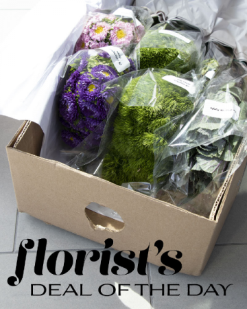 Florist's Deal of the Day Flower Arrangement in Nevada, IA | Flower Bed