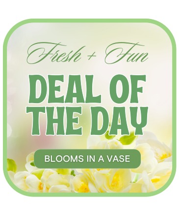 Florist's Deal of the Day Flower Arrangement in Nevada, IA | Flower Bed