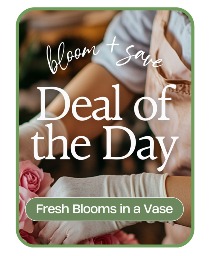 Florist's Deal of the Day Flower Arrangement