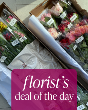 Florist's Deal of the Day Flower Arrangement in Deming, NM | THARP'S FLOWERS Florist's Deal of the Day Flower Arrangement in Deming, NM | THARP'S FLOWERS