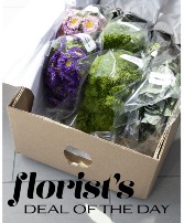 Florist's Deal of the Day Flower Arrangement