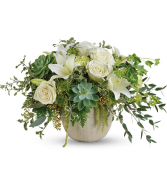 Flourishing Beauty HEV564B