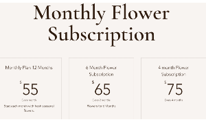 Flower Bouquet Subscription Floral Arrangement