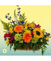 Garden View Arrangement