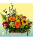 Garden View Arrangement