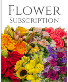 Flower Subscription  must call to place order