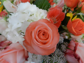 Flower of the Month Club Monthly subscription