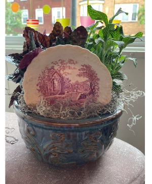 Flower Pot Dish Garden ARRANGEMENT/GIFT/HOME