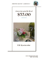 Flower Special of the Week 