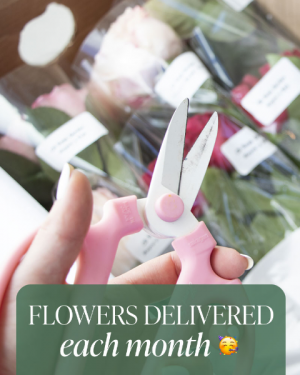 Flower Subscription Flower Arrangement in Du Bois, PA | BRADY STREET FLORIST Flower Subscription Flower Arrangement in Du Bois, PA | BRADY STREET FLORIST