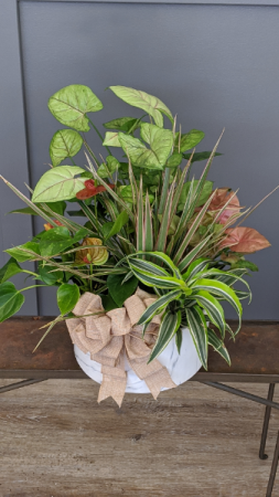 Flowering and Green Dish Garden