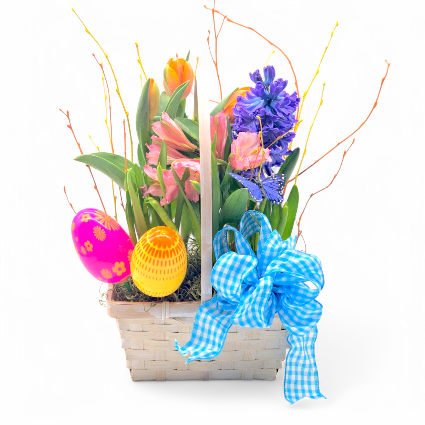 Flowering Bulb Easter Basket - Small plants