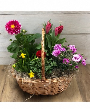 Flowering Euro Basket 