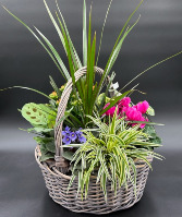 XL Wicker Euro Garden Wicker Planter