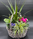 XL Wicker Euro Garden Wicker Planter